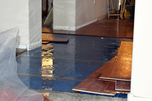Professional Flood Cleanup technician working in Luxemburg, WI